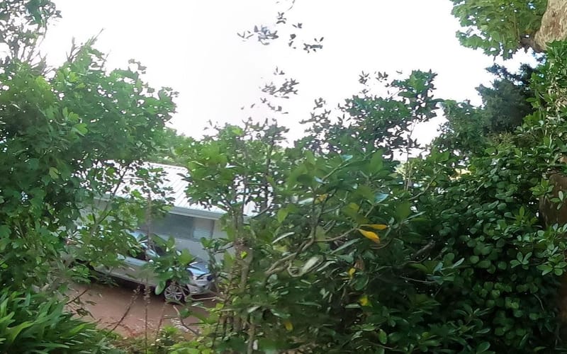 6 Darwin Lane
