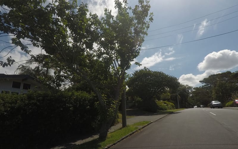53 Selwyn Road