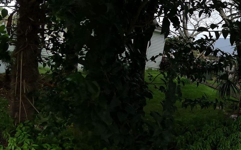 2 Paihia Road