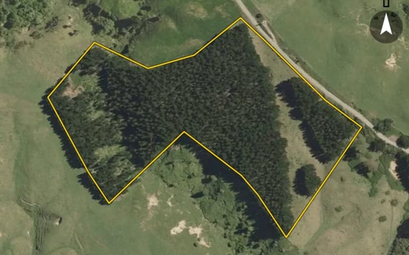 19 Darkys Spur Road
