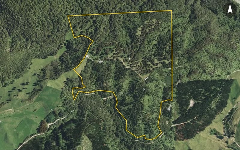 298 McIvor Road