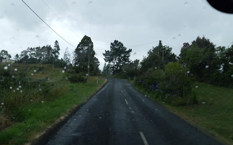 10 Rotongaro Road