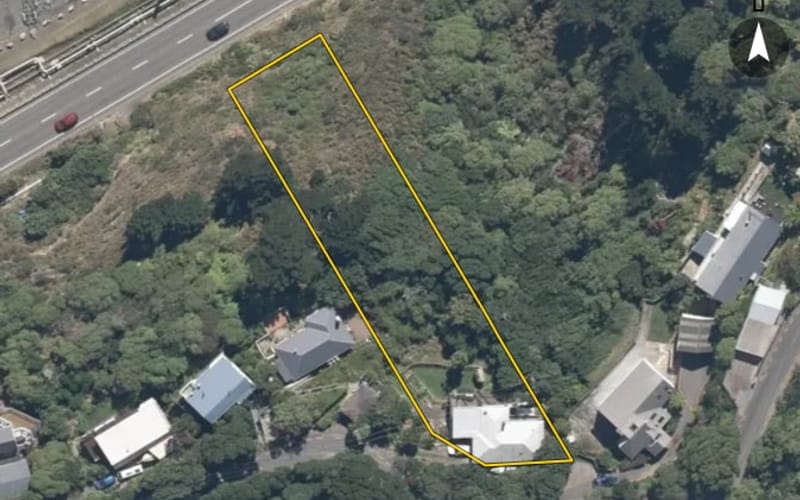 13 Nikau Road
