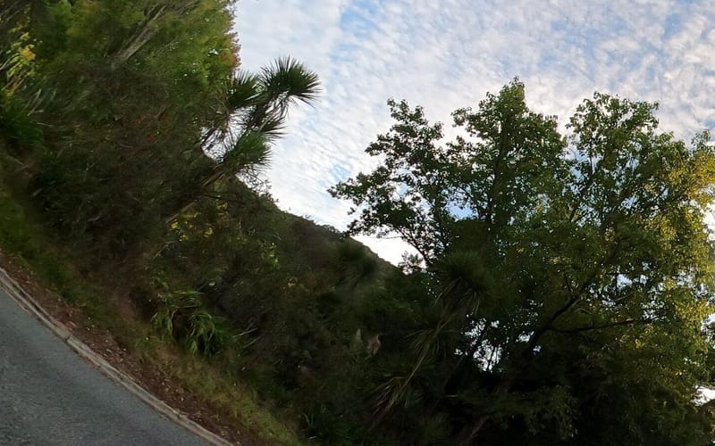 626 Weranui Road