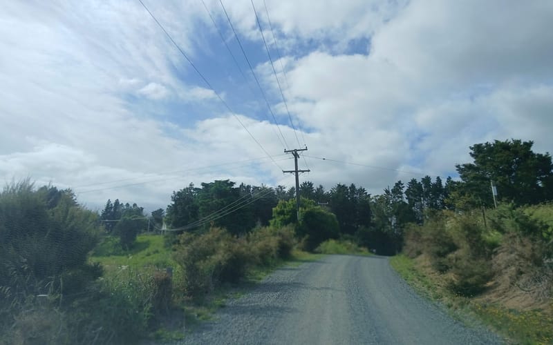 193 Ngatoka Road