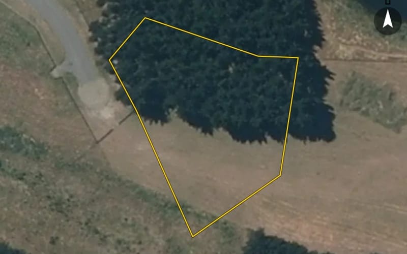 11 Mowhia Grove