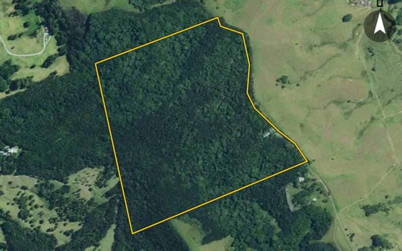 314 Puriri Block Road