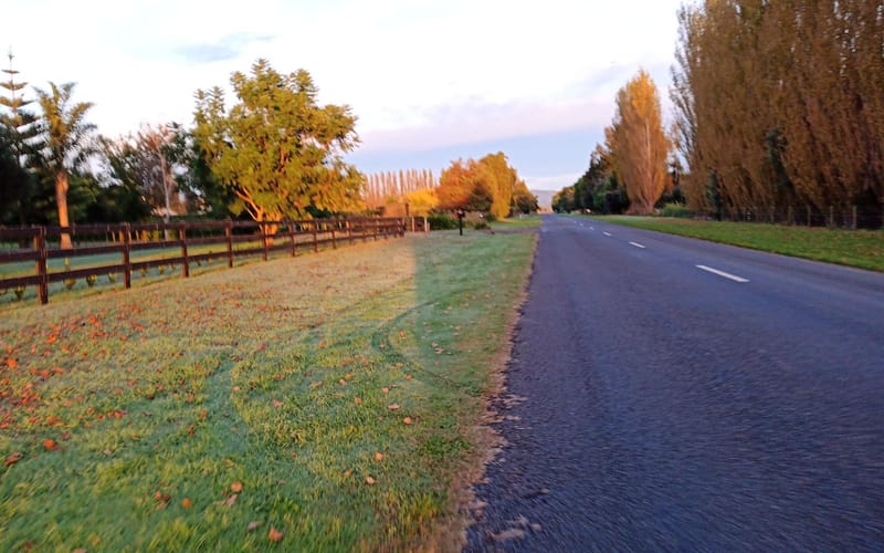 109 Hansen Road