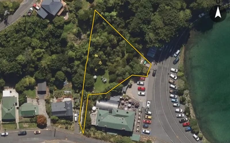 19 Macandrew Road