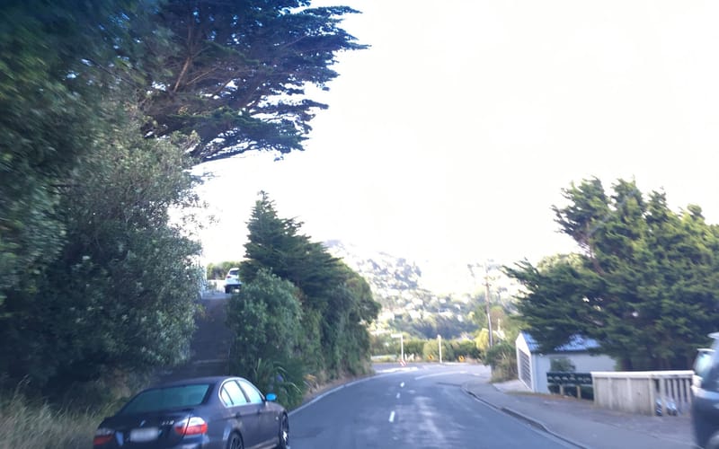 288A Cockayne Road