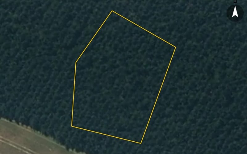 22 Mowhia Grove