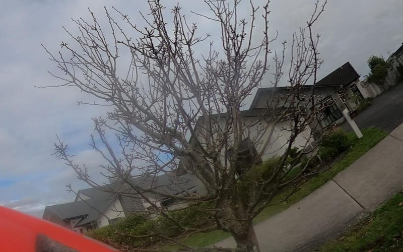 22 Kuhanui Drive
