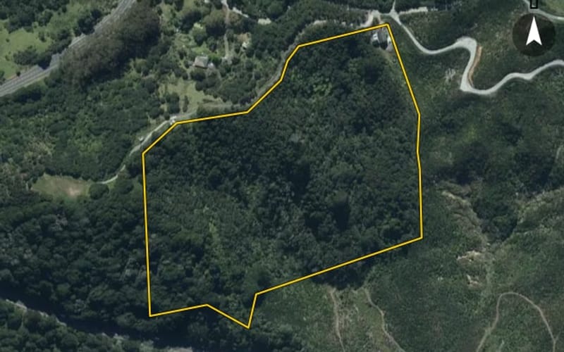 40 Schollum Access Road
