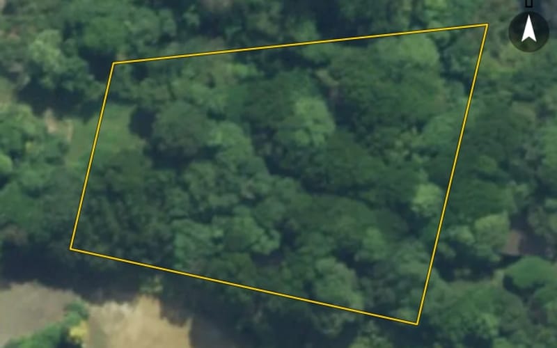 2513 Papatowai Highway