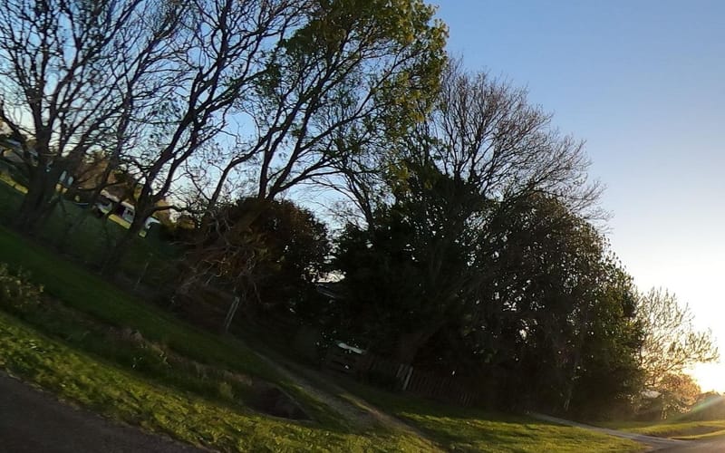 157 Hansen Road