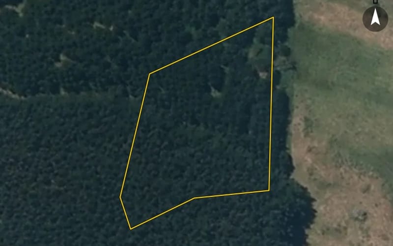 33 Mowhia Grove