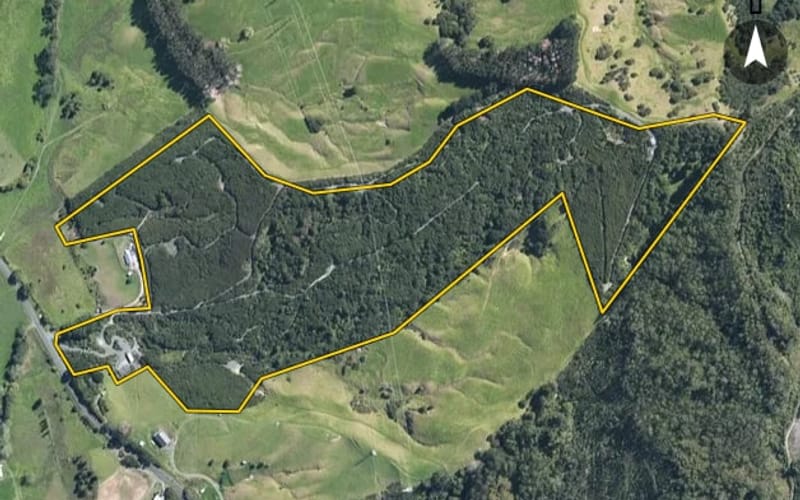 2704 Kaipara Coast Highway