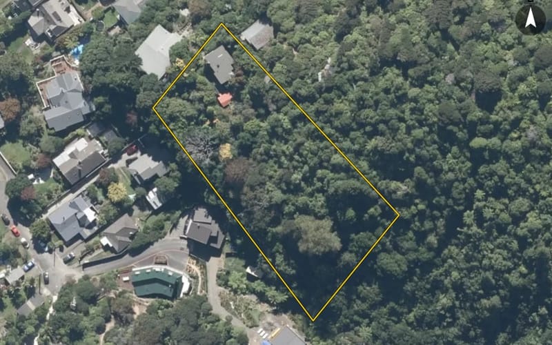 19 Karaka Street