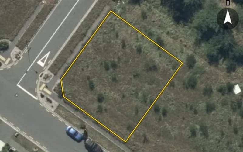 2 Griselinia Crescent
