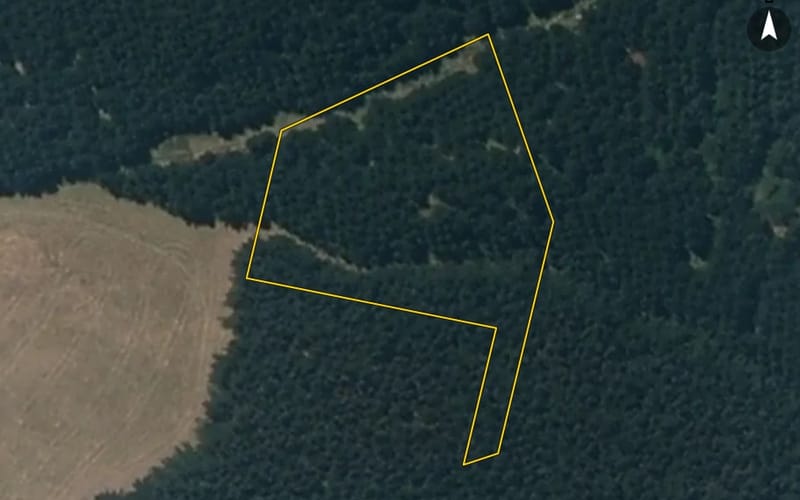 29 Mowhia Grove