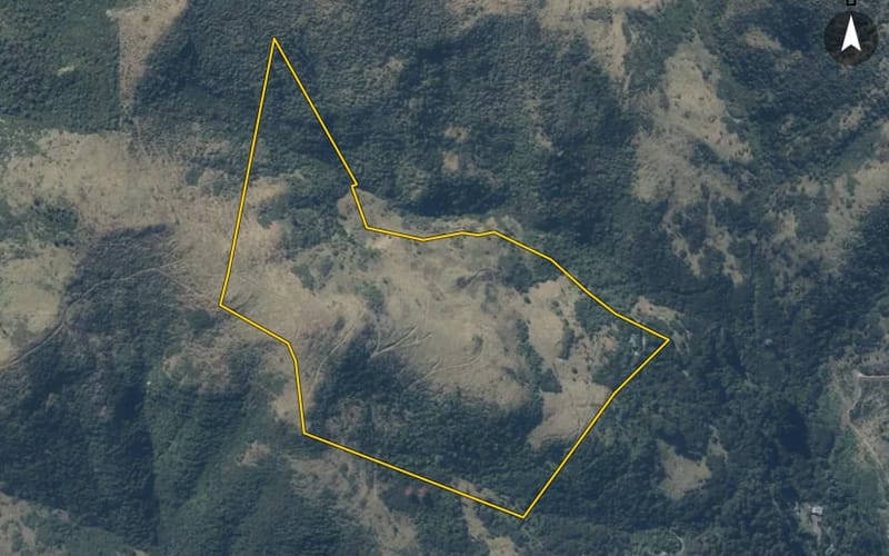 161 Bachelors Road