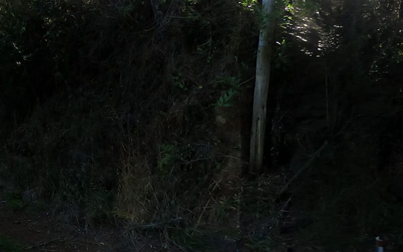 945 Ararimu Road