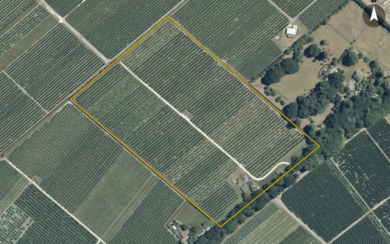 103 Ormond Road