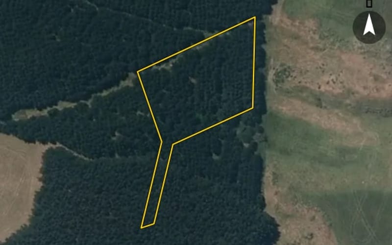 31 Mowhia Grove