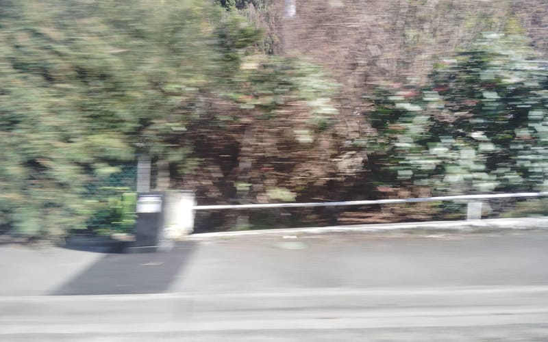 6 Miro Street