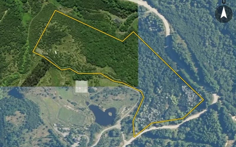183 Mt Lyford Forest Drive