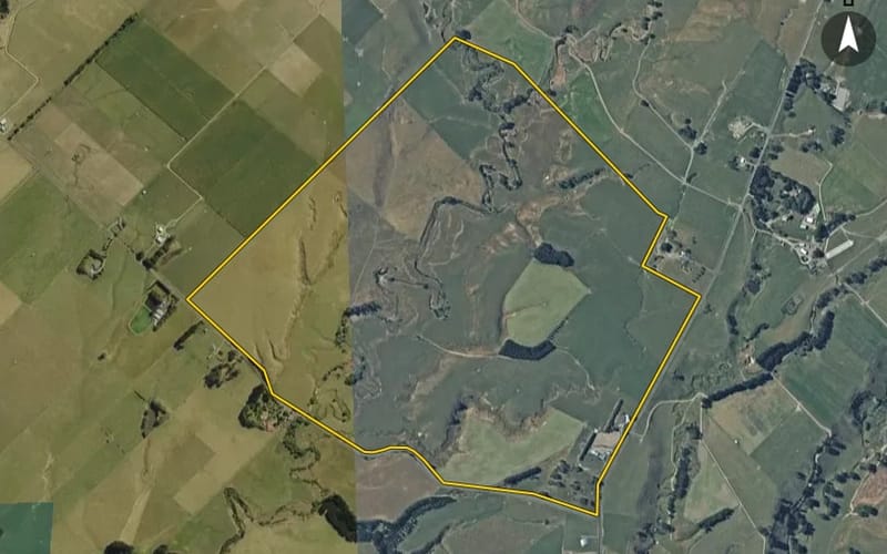1135 Taonui Road