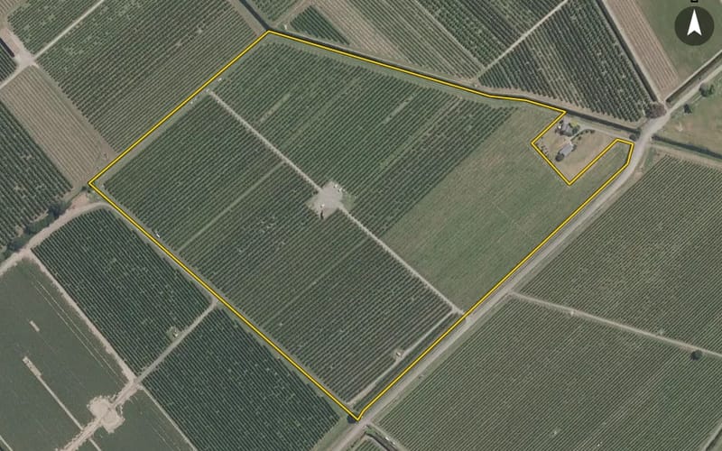 297 Ormond Road