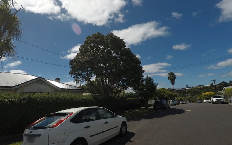 42A Finch Street
