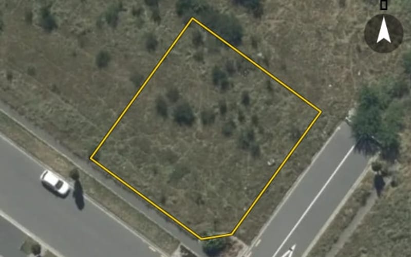 24 Griselinia Crescent