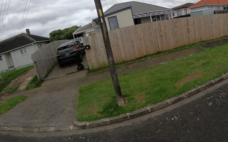 19 Farrelly Avenue