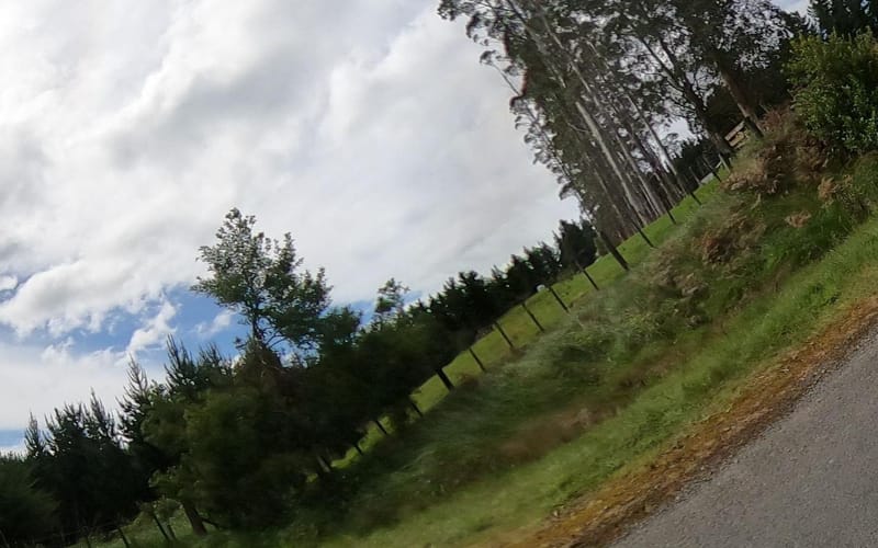 62 Kaiwaka Road