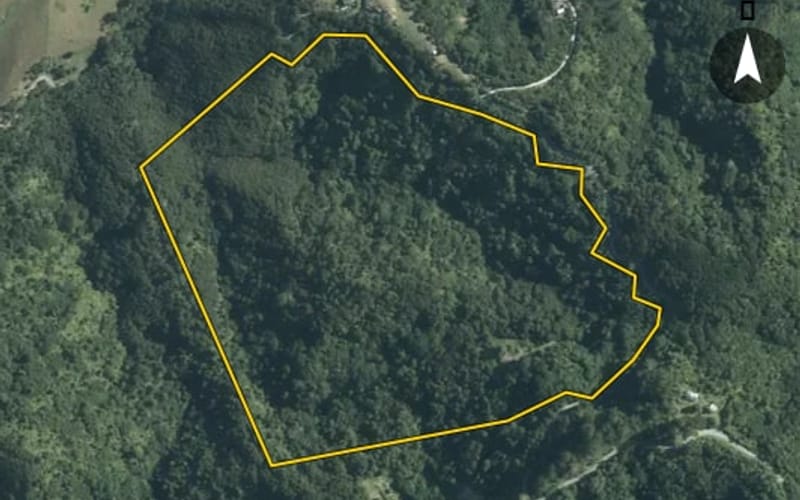95 Moumoukai Hill Road
