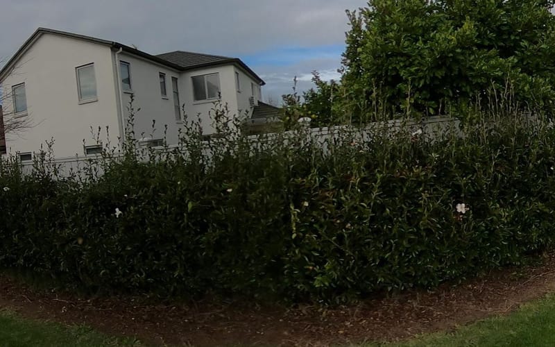 41 Pickaberry Avenue