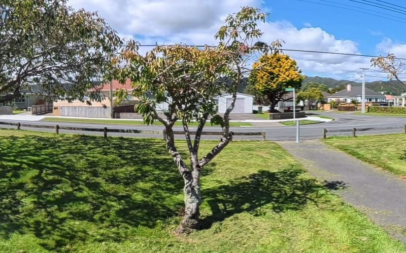 36 Taita Drive