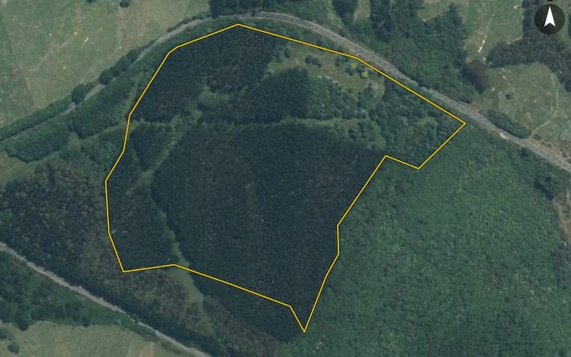 1397 Whangamata Road