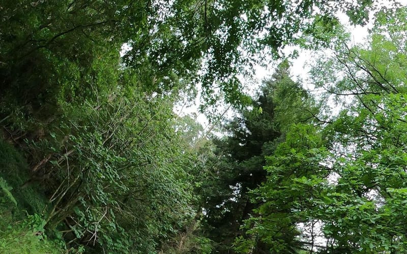 10 Mills Lane