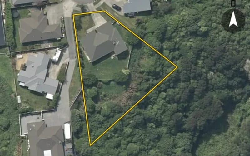 13 Catlins Glen