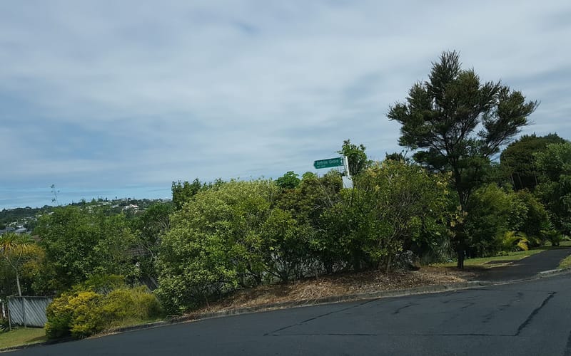 1/16 Witheford Drive