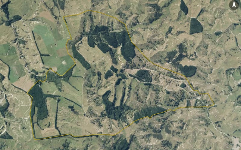 1237 Tinui Valley Road