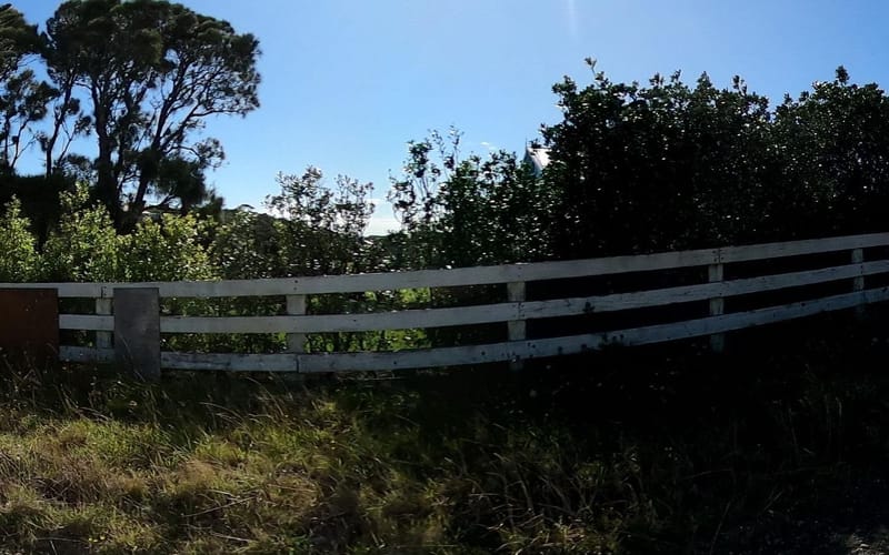 145 Constable Road