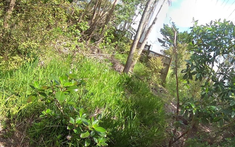 511A East Coast Road