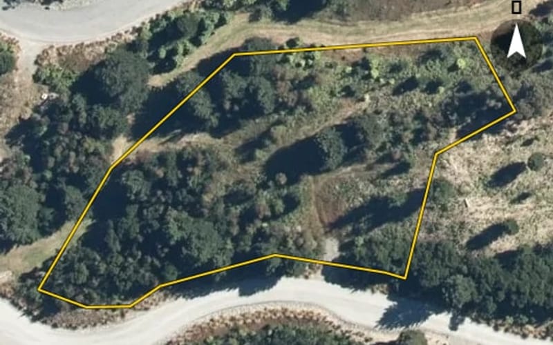 9 Haast Eagle Road
