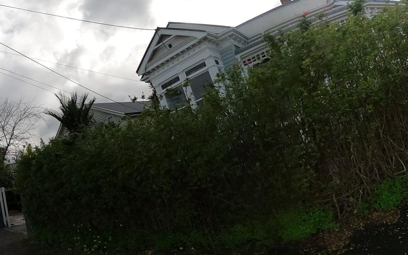 64 Calliope Road