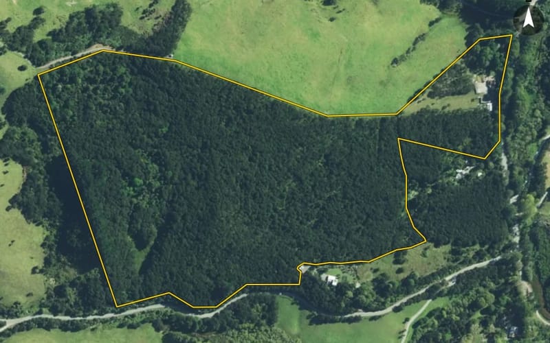 488 Paranui Road