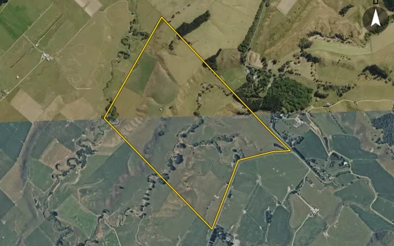 1321 Taonui Road